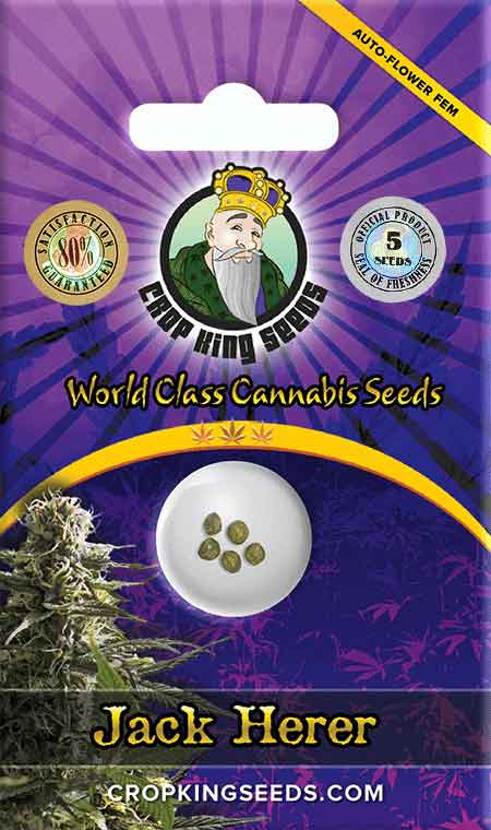 Jack Herer Strain Autoflowering Marijuana Seeds, Crop King Seeds