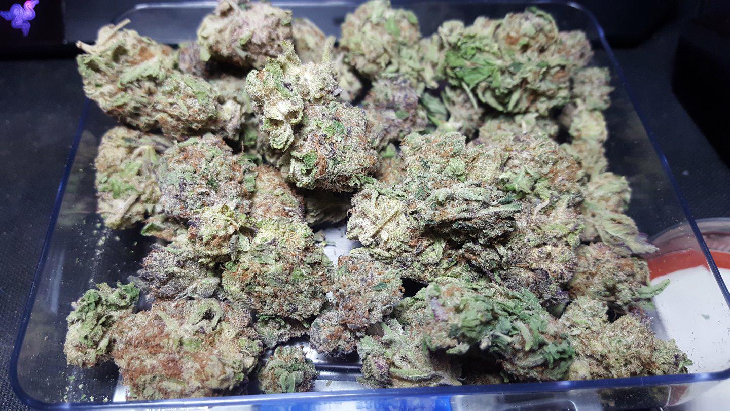 How to Store Weed to Keep Its Freshness