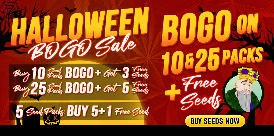 Halloween Sale CKS, Crop King Seeds